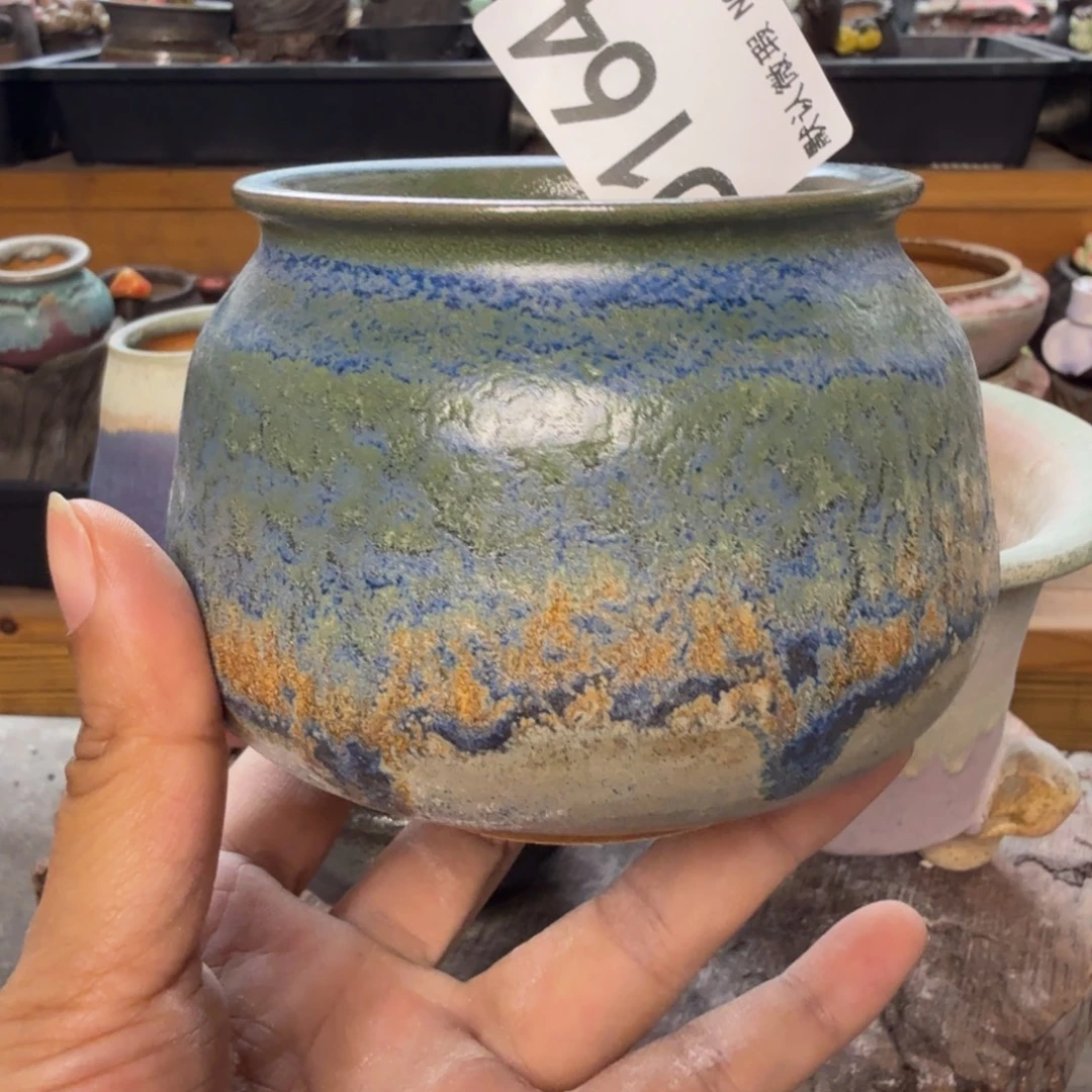 重庆小燕子欢迎大家164