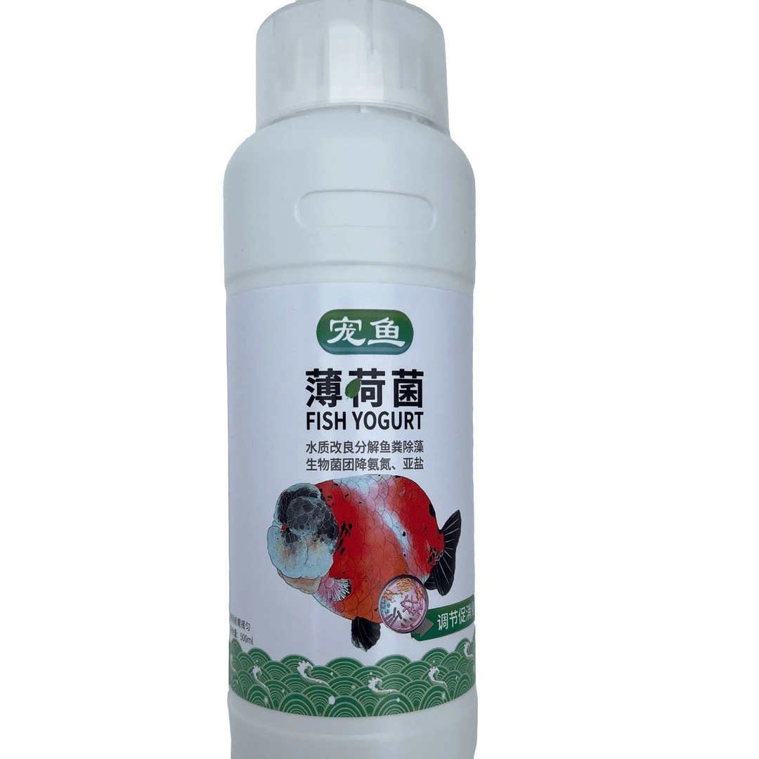 宠鱼薄荷菌益生菌改良水质分解鱼粪富含有益菌