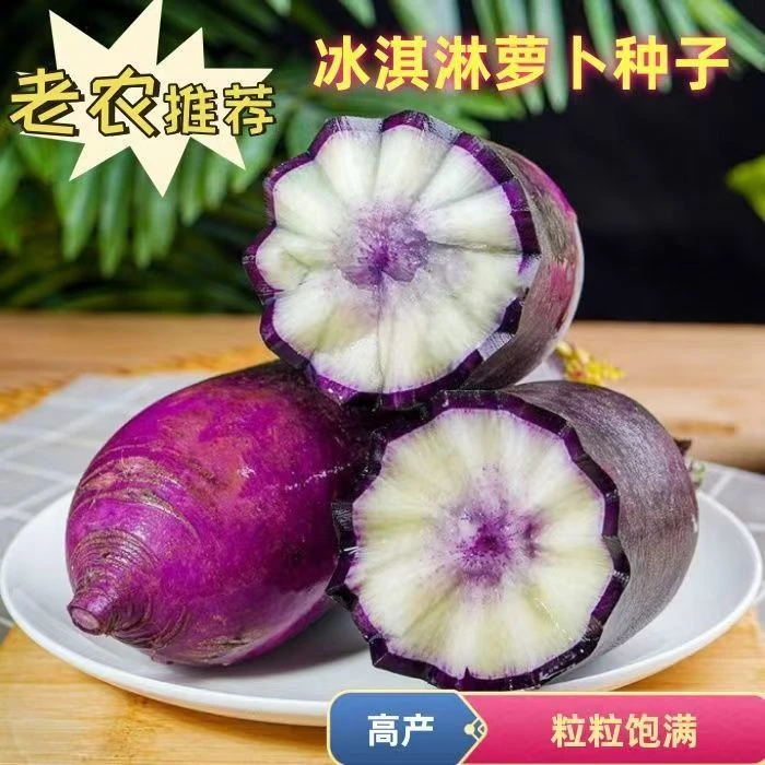 冰淇淋萝种子甜脆超甜可生吃水果萝卜种子紫皮红心冰糖心萝卜种子