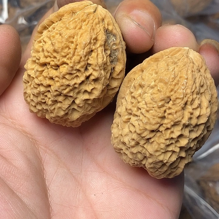 文玩核桃把件云南铁核桃70号40mm