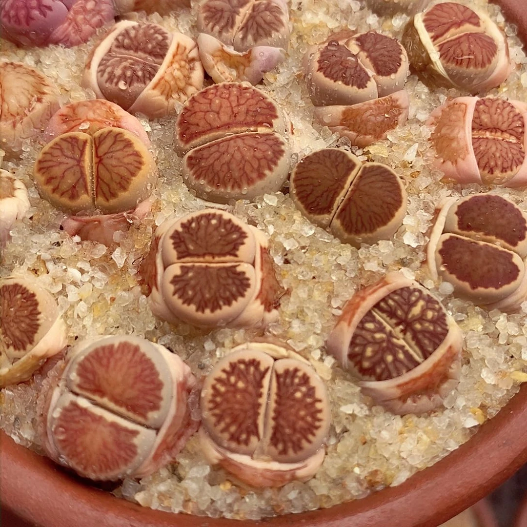 我还能去不呀么的你还去干327