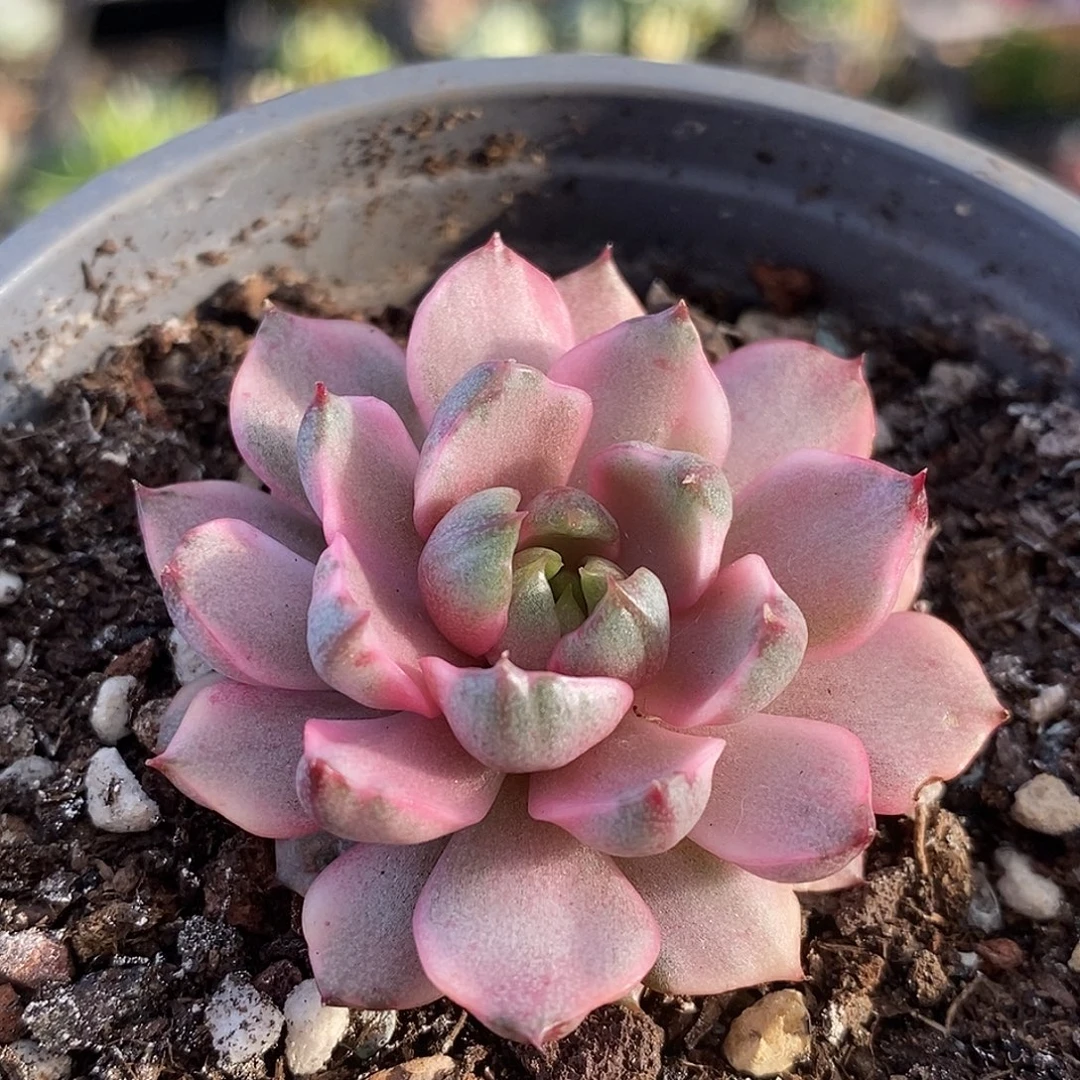 725哈哈哈哈哈哈哈哈