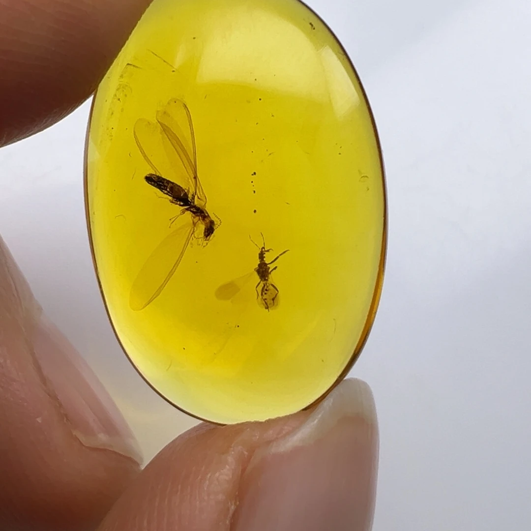 笑***开琥珀未镶嵌裸石琥珀虫珀
