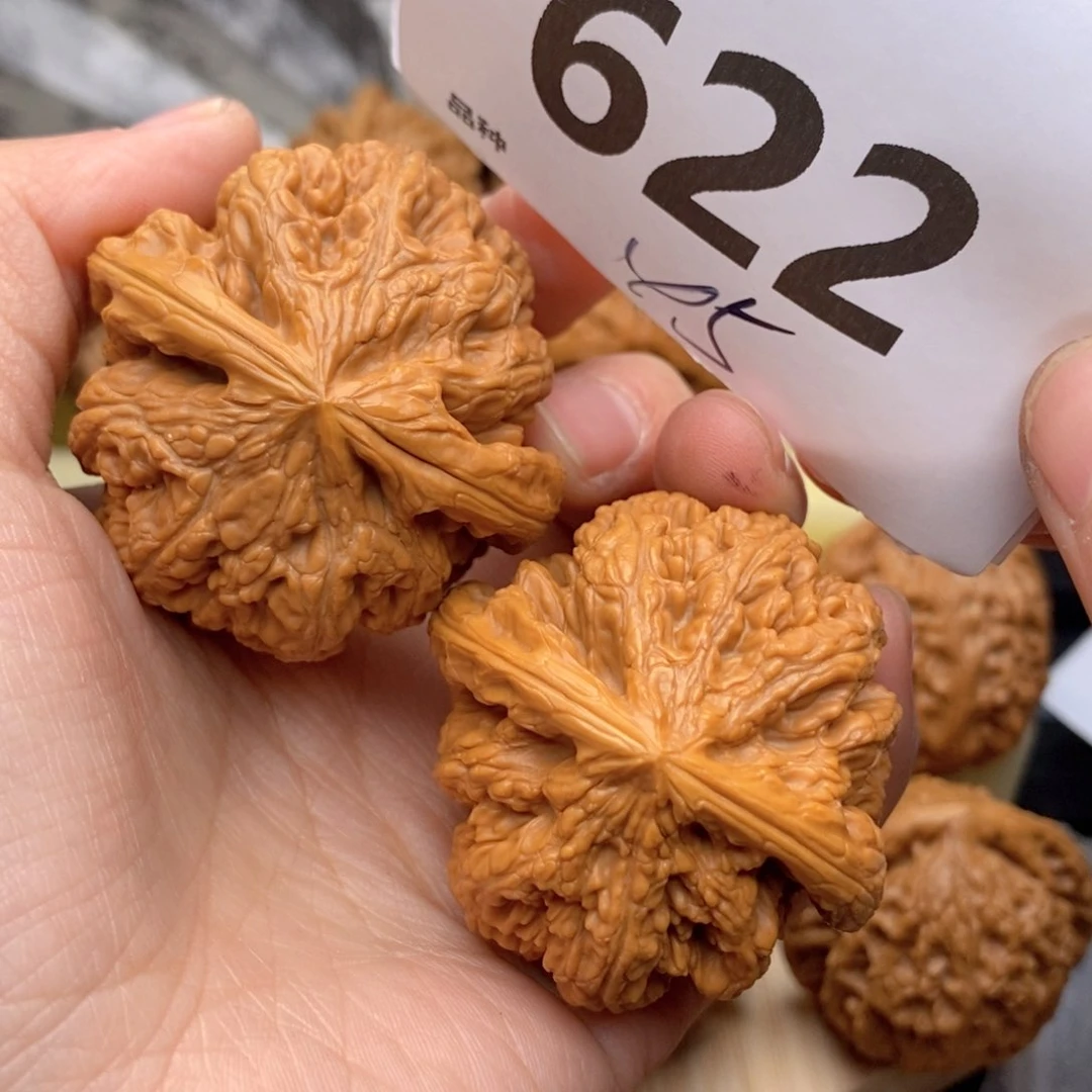 文玩核桃把件622号45粗筋