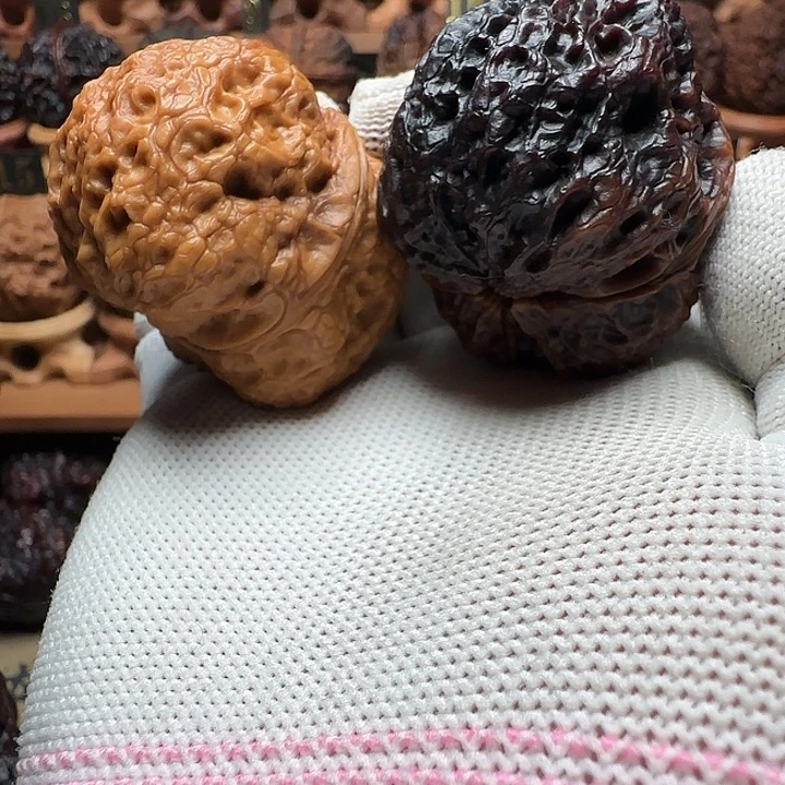 元宝蟾45尺云铁精品