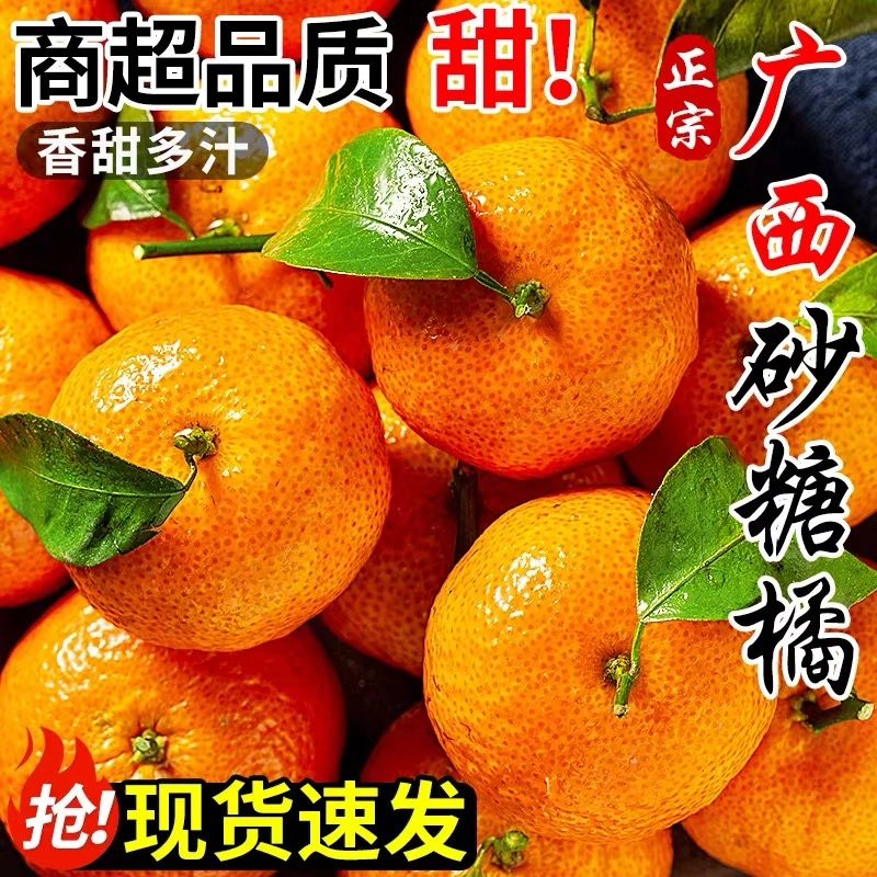 H【高山精选】正宗广西砂糖橘高山大果现摘新鲜当季水果香甜沙糖桔