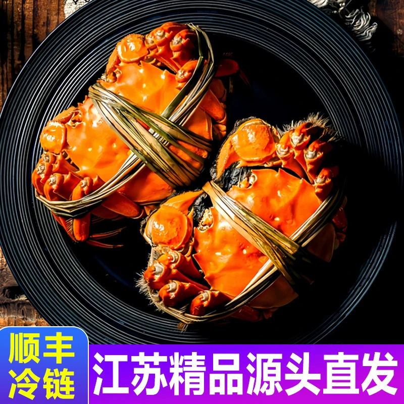 【活蟹】全母蟹 江苏精品河蟹 单只2.0-1.8两8+2/10只 礼盒顺丰包邮