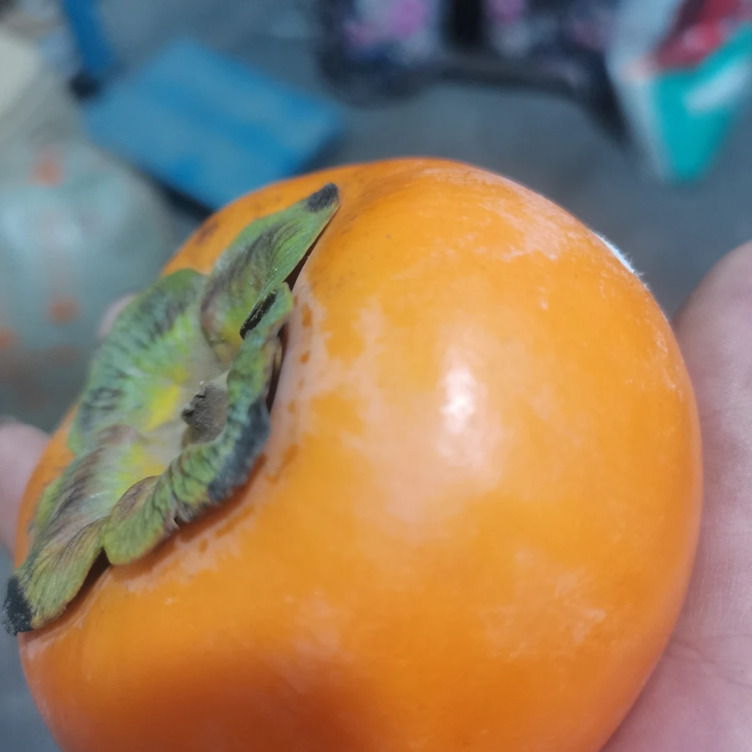 山西阳丰冰糖心巧克力脆柿清甜可口脆甜不涩口柿子水果新鲜