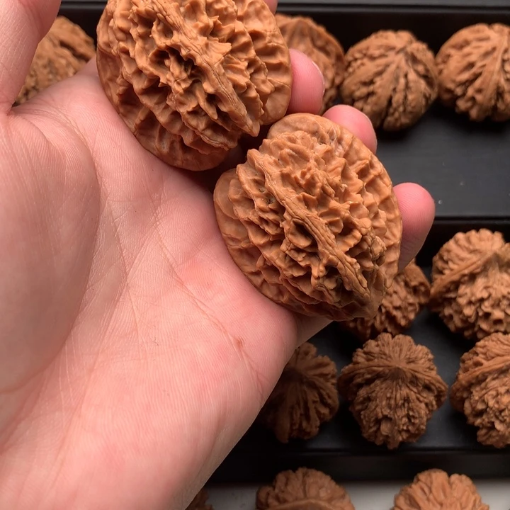 其他核桃秦岭森林公园等景点