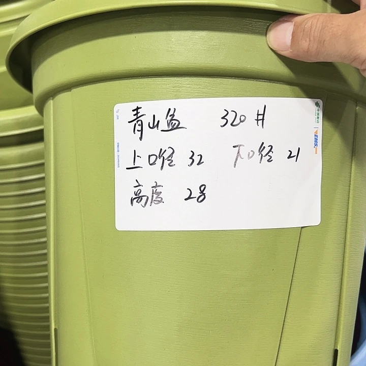 青山盆口32高28混色无托5只