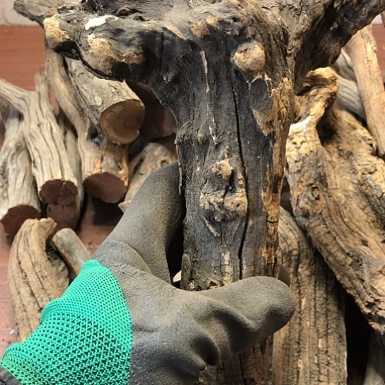 大果紫檀（缅甸花梨）悟****品