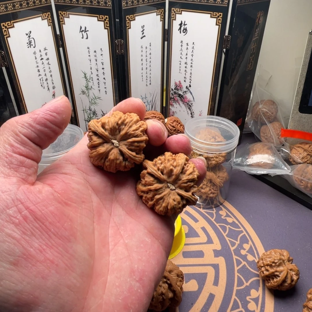 把件核桃用****4全品42粗筋