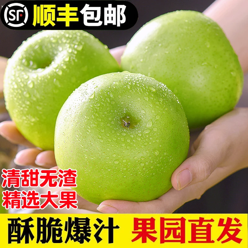 【顺丰包邮】25年新鲜头茬青皮梨翠冠梨酥脆细腻皮薄多汁5斤