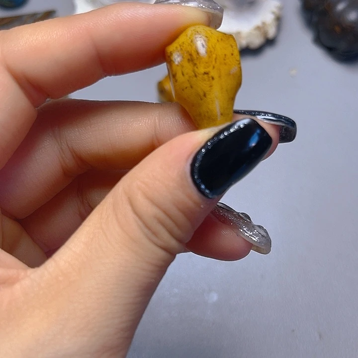 大果紫檀（缅甸花梨）