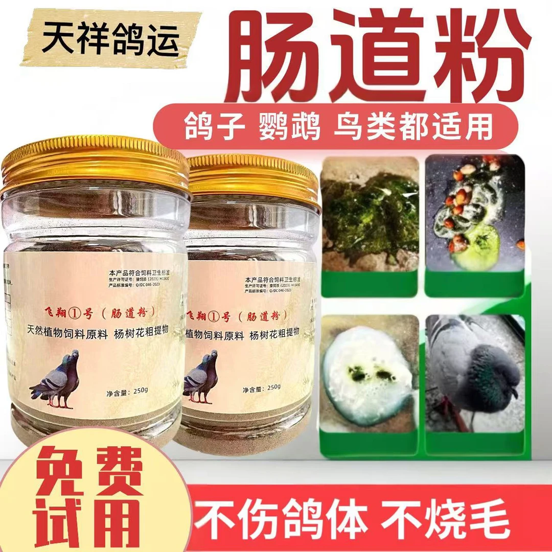 鸽子赛鸽肠道中草粉调理肠道平衡肠道菌群水便绿便粪便成粒饲料