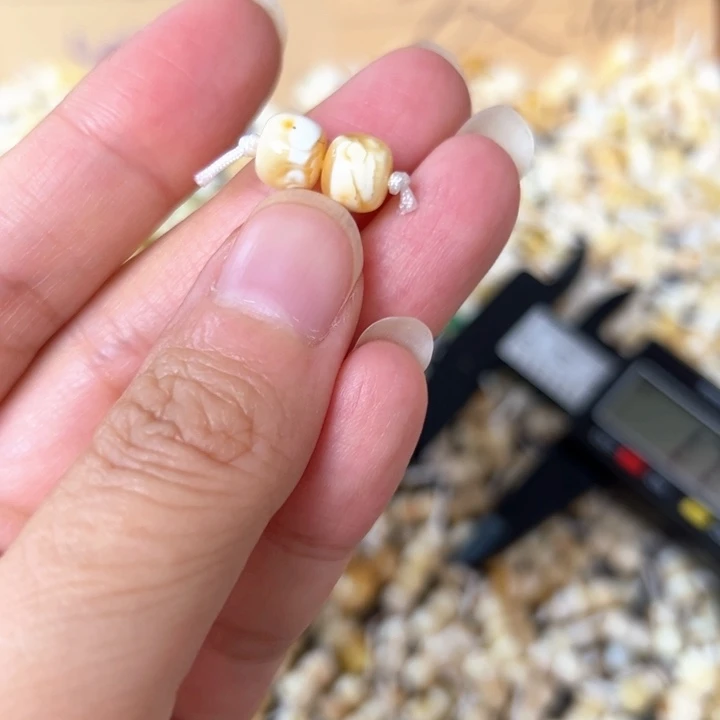 裸石蜜蜡未镶嵌7.5mm一对