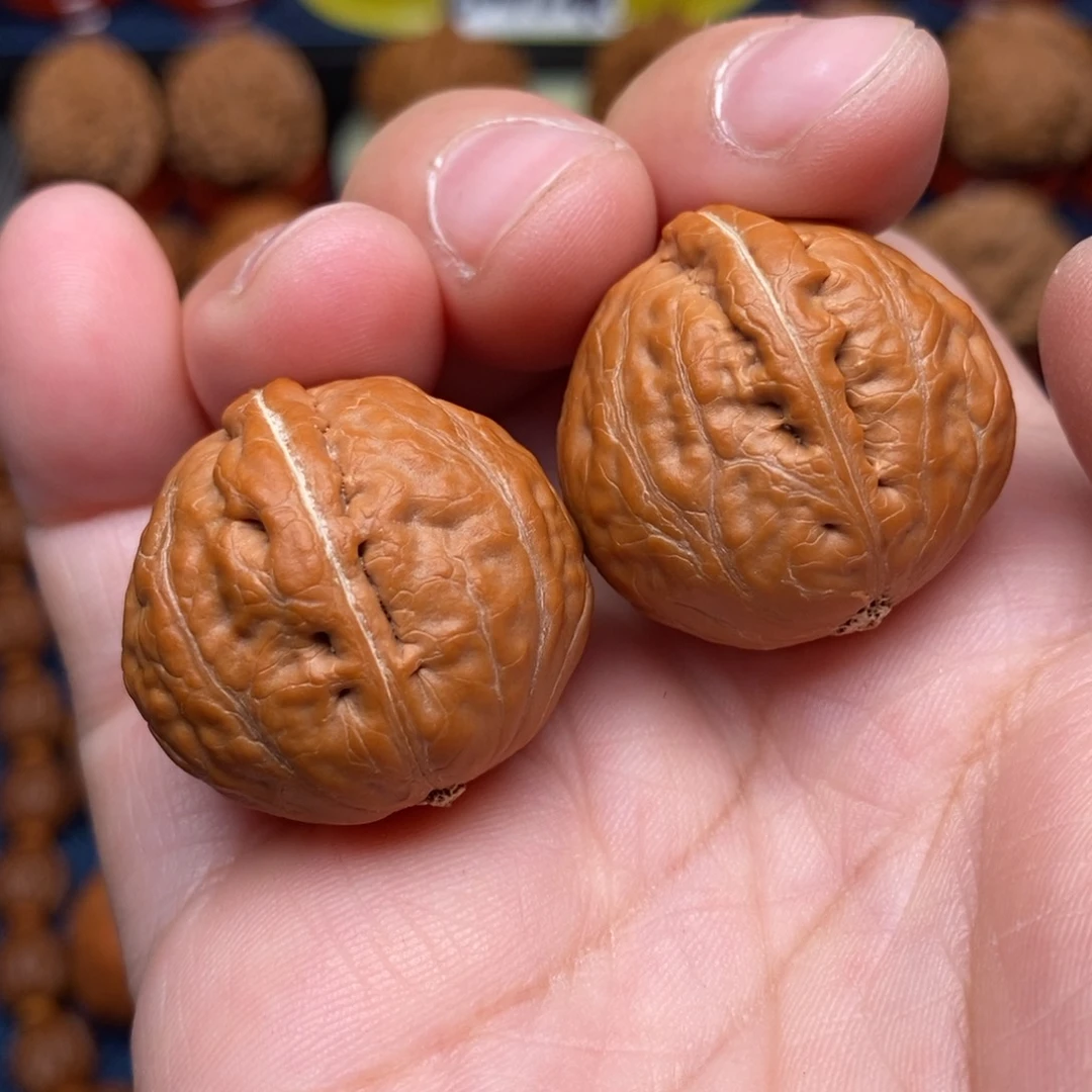 文玩核桃把件手捻光头龙胆