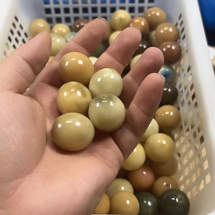 吊坠菩提根/象牙果