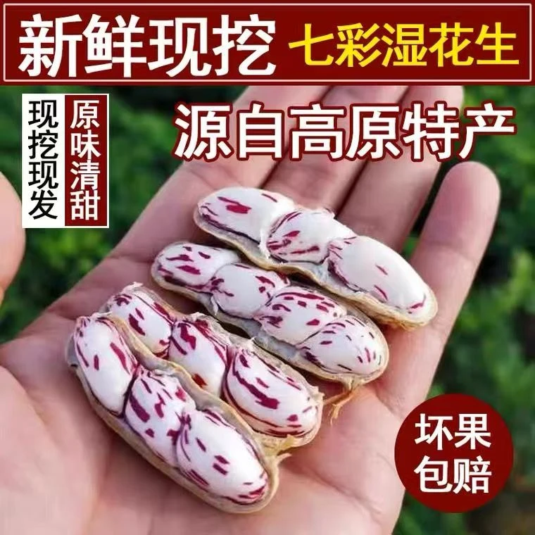 【专属】2025新鲜云南特产七彩花生农家自种直发原味香甜营养健康