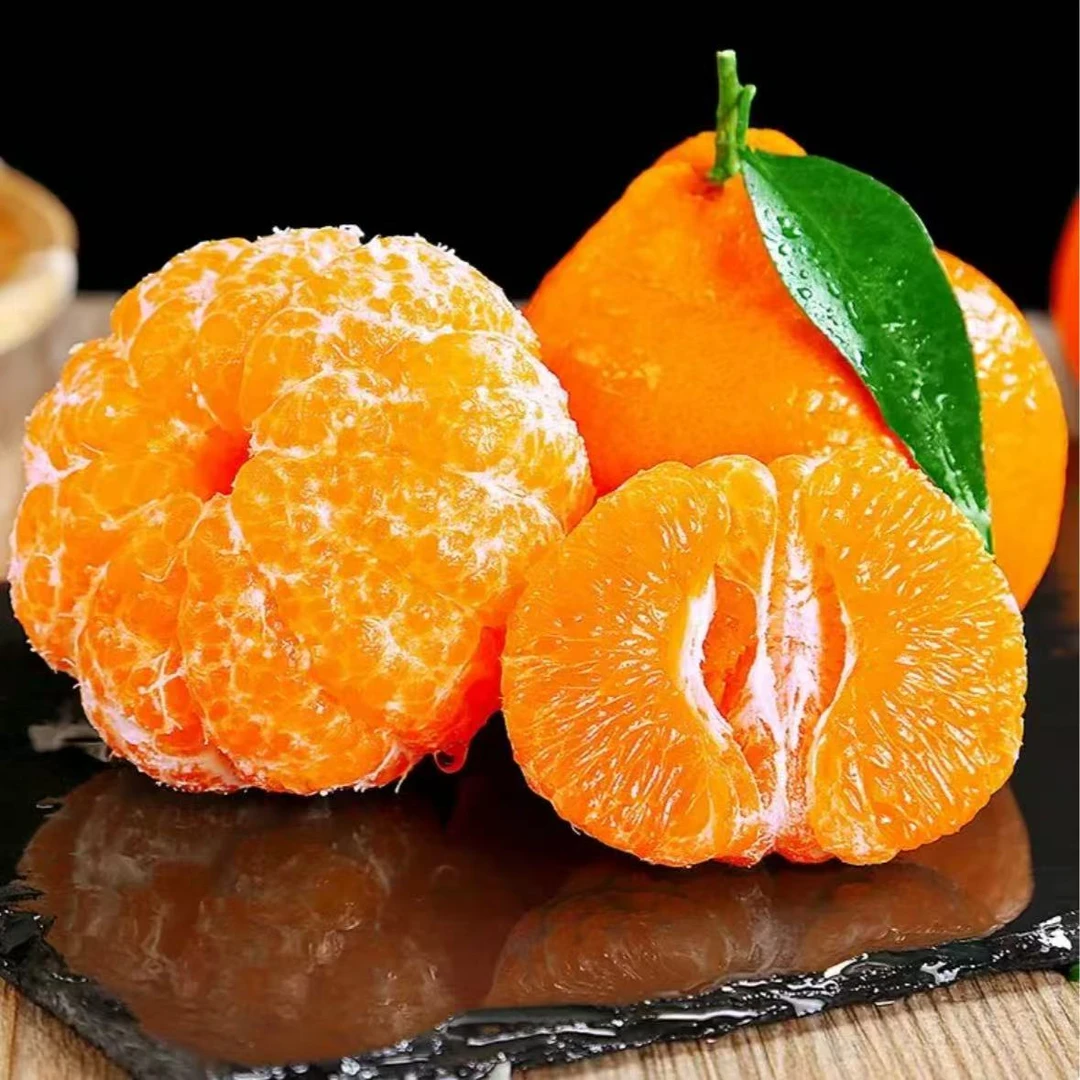 【自有果园】ZZ正宗四川春见耙耙柑现摘现发新鲜应季水果坏果包赔