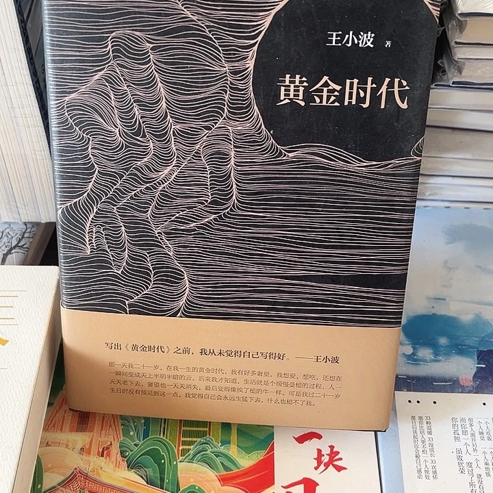 精装 无塑封 最后一本 不保 介意别拍