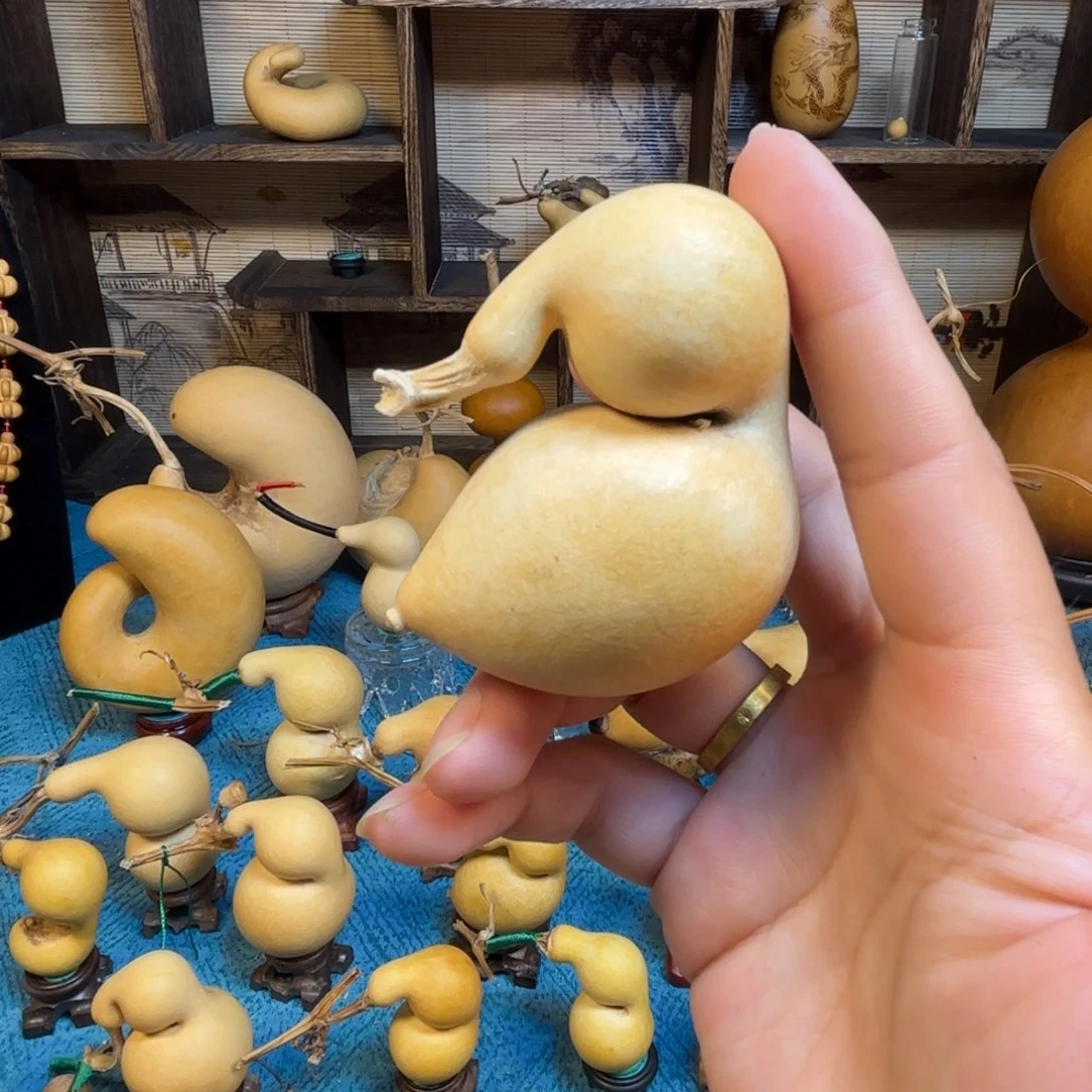 森***)精品蚂蚁嘎嘎漂亮