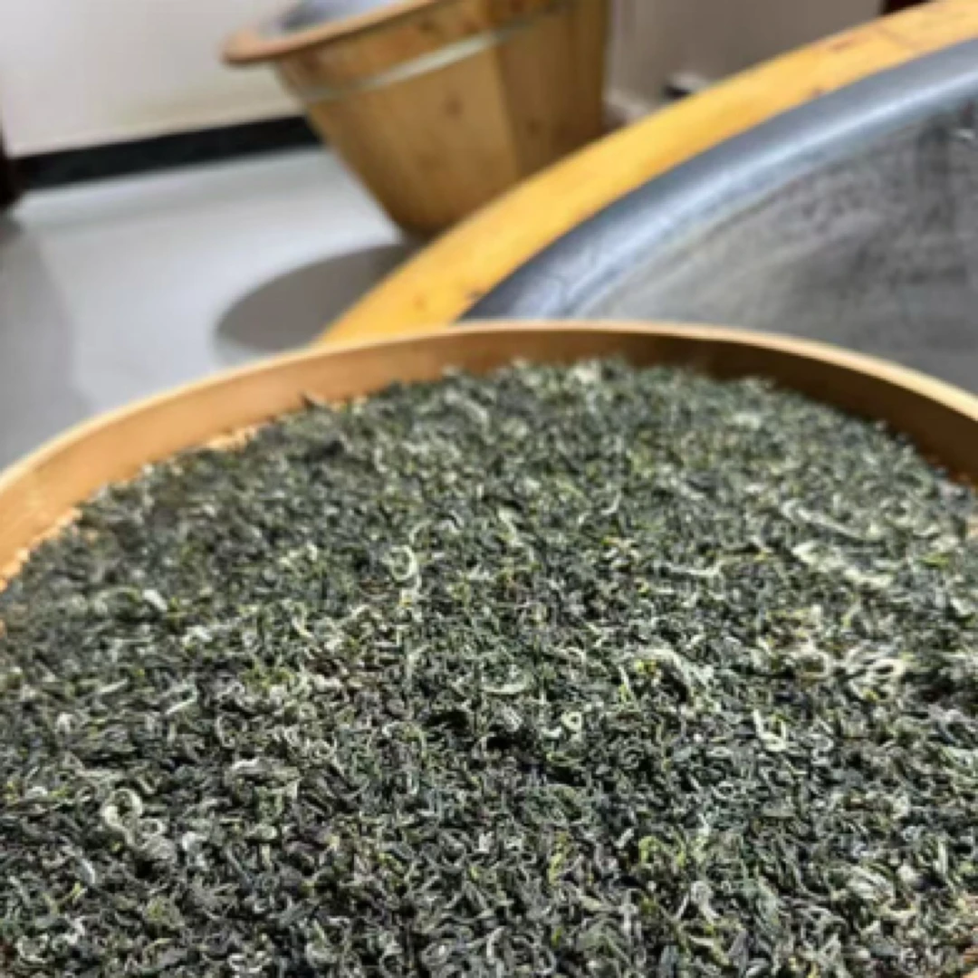 2025新茶半手工碧螺春，口粮茶推荐