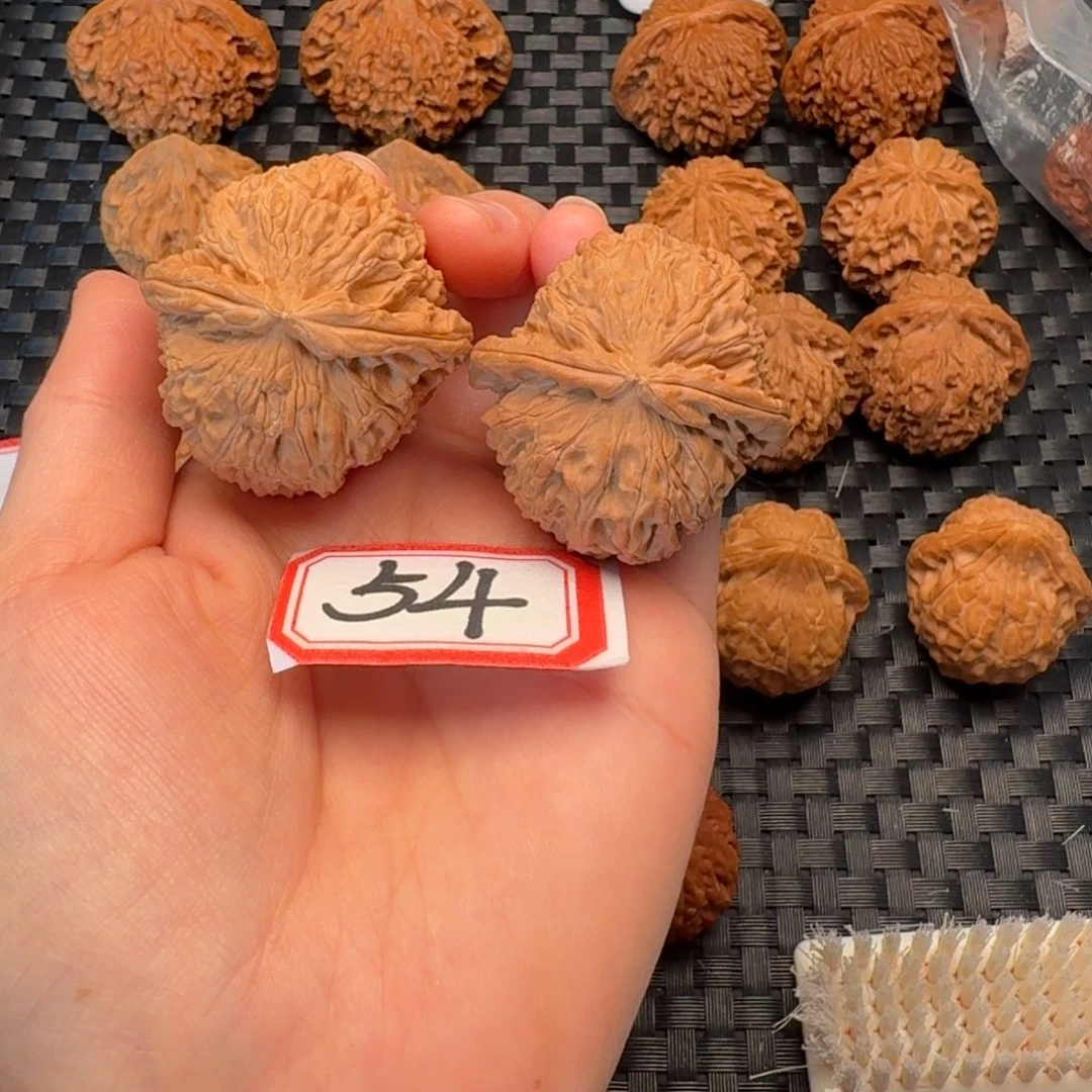 把件文玩核桃全品42尺白狮子