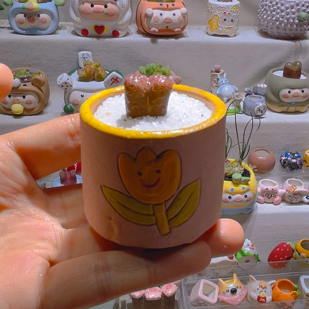 043超级蛋糕风铃1.7厘米带盆土一套35.8