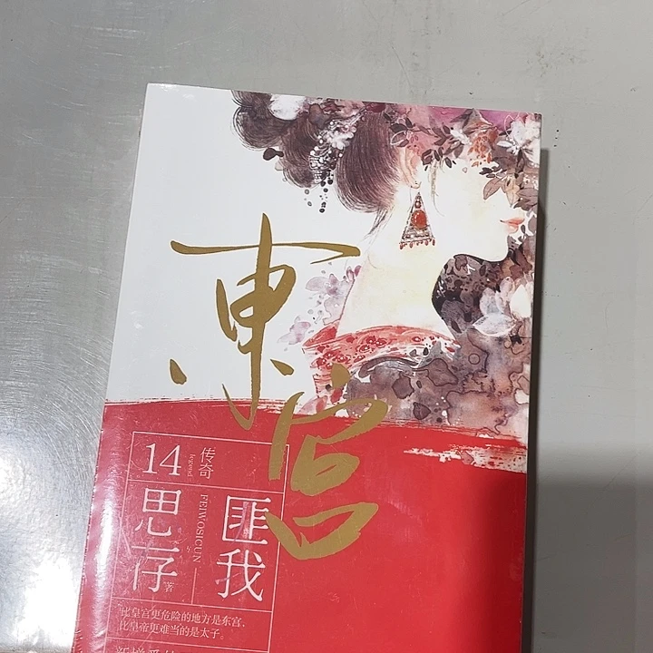 东宫全新全套两本古言情