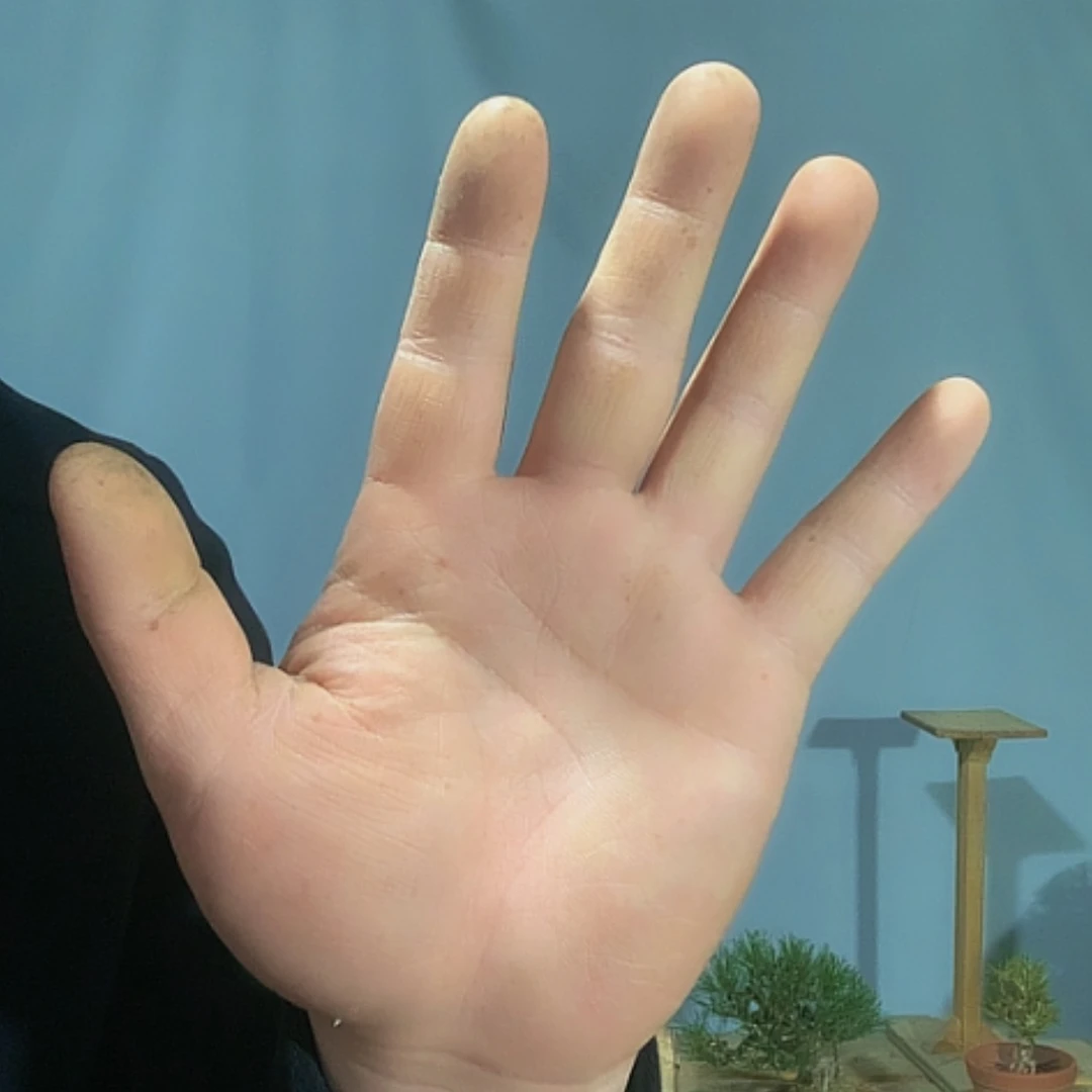 【闪购商品】0**8松