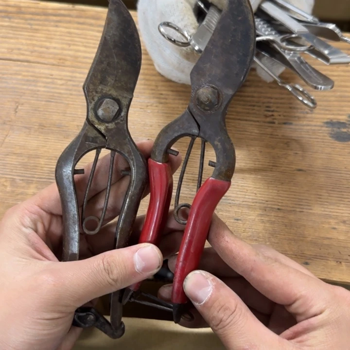 语*哈哈哈哈哈哈哈哈哈