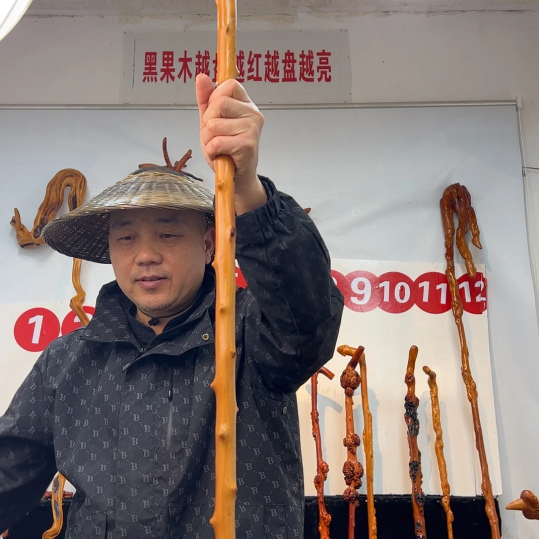 丰***硕其他黑果木黑果木936
