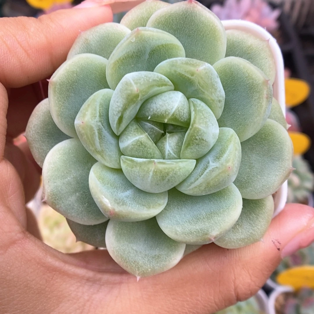 财富密码765号。