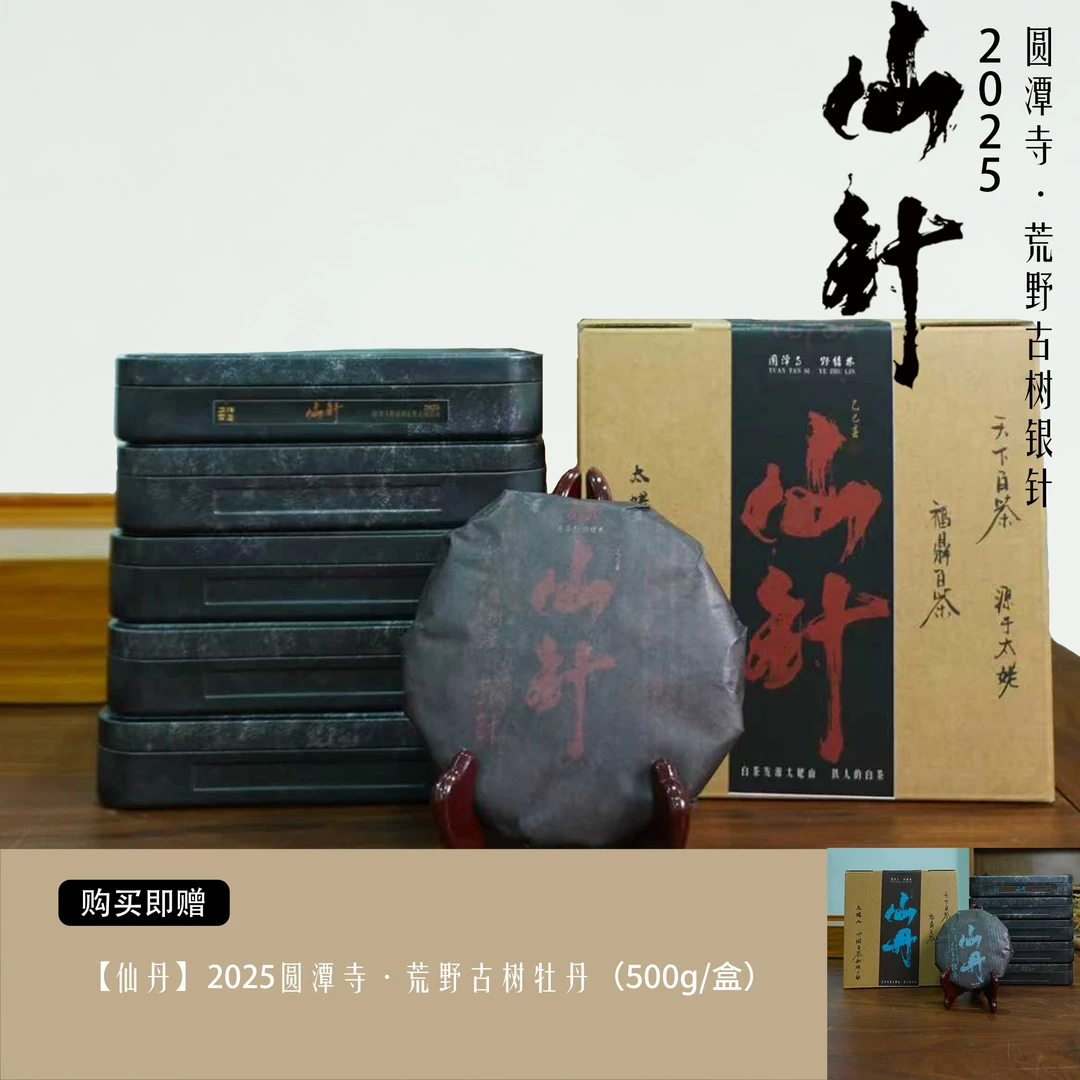 【仙针】2025圆潭寺·荒野古树银针·福鼎白茶·500g/箱