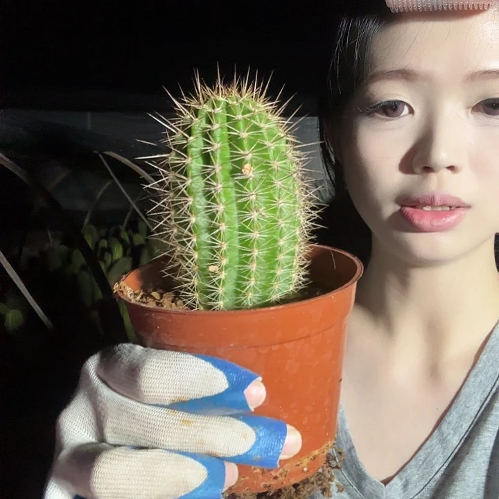 偶***然苏乞儿哈哈哈哈哈哈哈