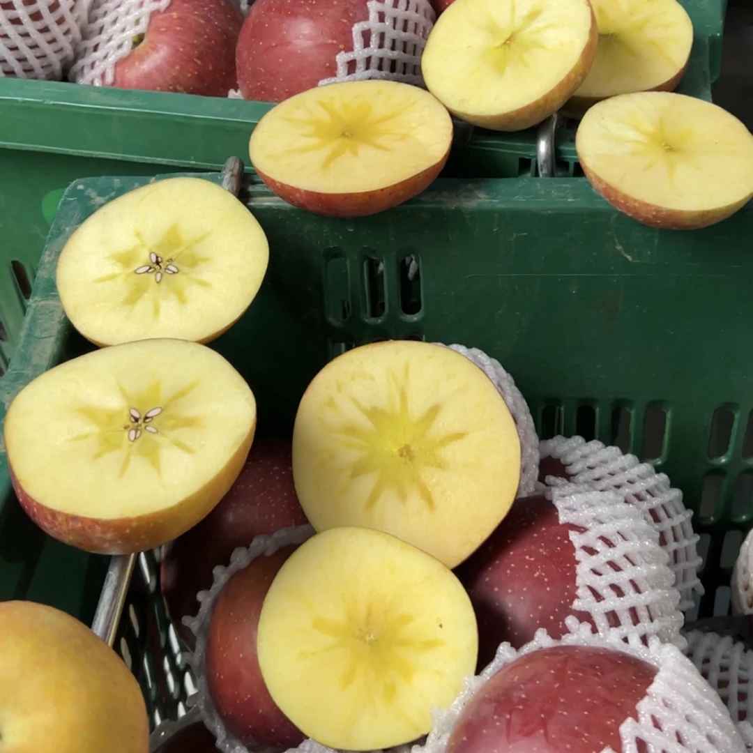 10斤装云南昭通红高原冰糖心丑苹果新鲜现摘脆甜可口当季水果