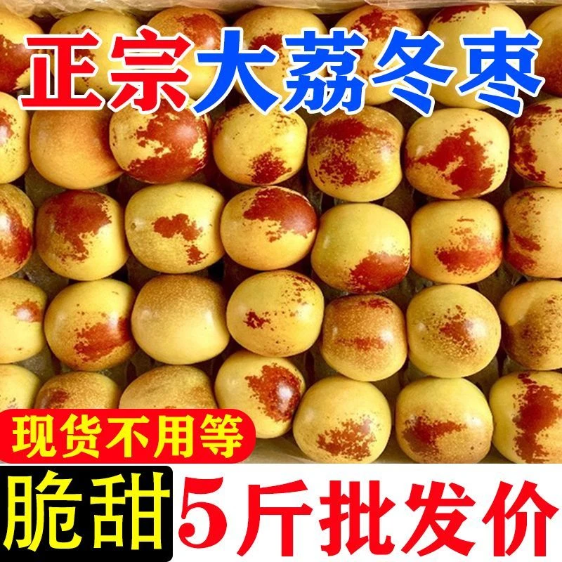 陕西大荔头茬冬枣新鲜现摘产地直发脆甜多汁当季水果