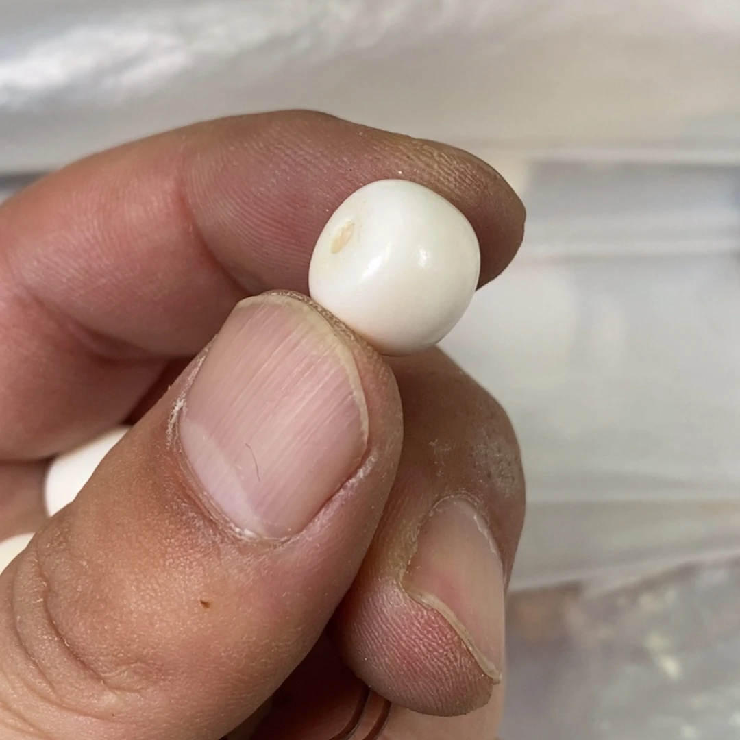 手串/手链驼骨配饰98尺寸1.2