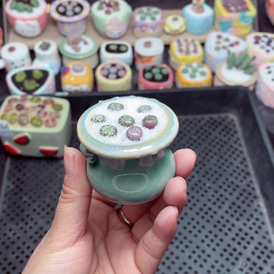 w9965 -零下地区拍保温箱-15支持寄养