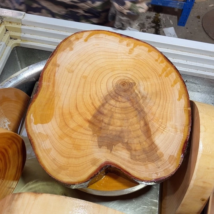 银杏木40✖️37✖️5发货如图树根