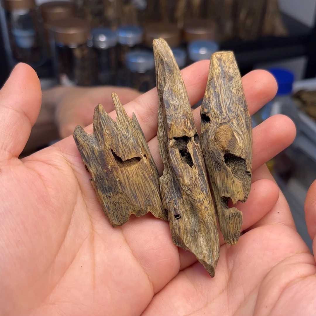 沉香沉香碎屑奇楠沉香熏香 白棋虫漏13克