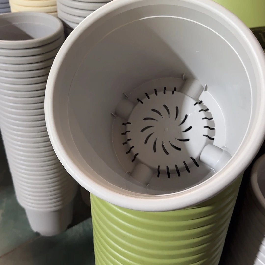 树脂四季5号无托6个灰白微瑕