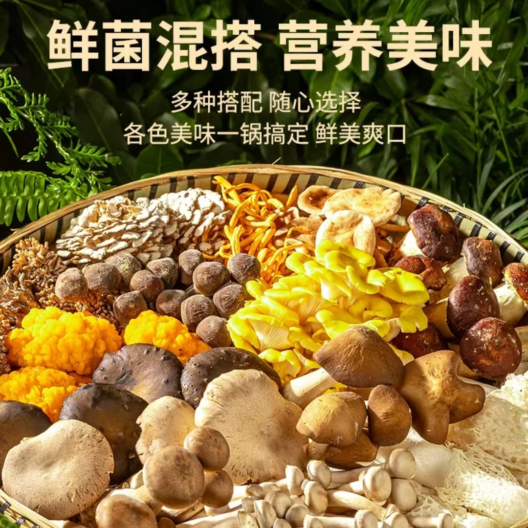 云南十全十美十种鲜菌组合