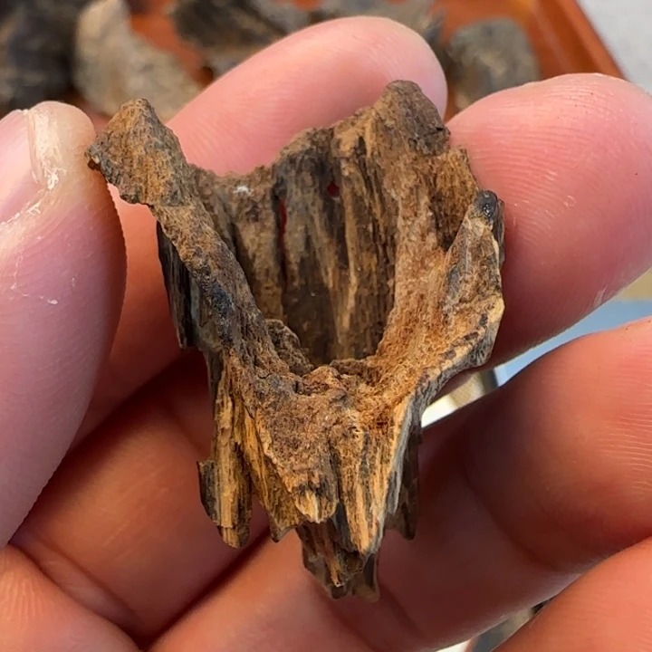 摆件沉香霸王岭沉水老包壳2.96克