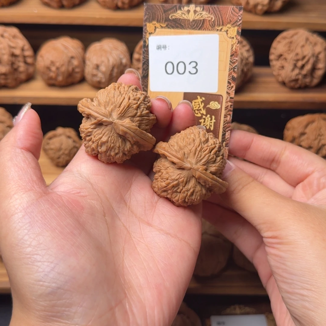 核桃003白狮子1111