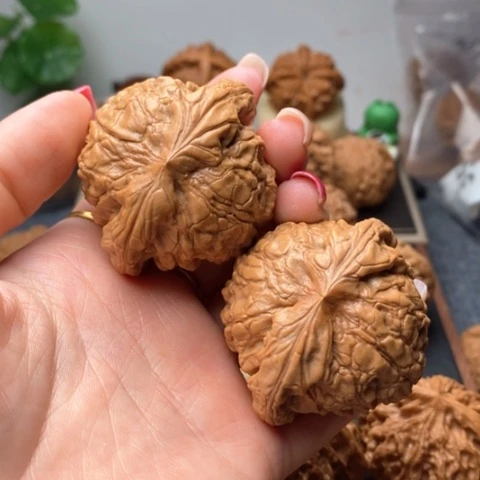 文玩核桃吊坠50龙鼎