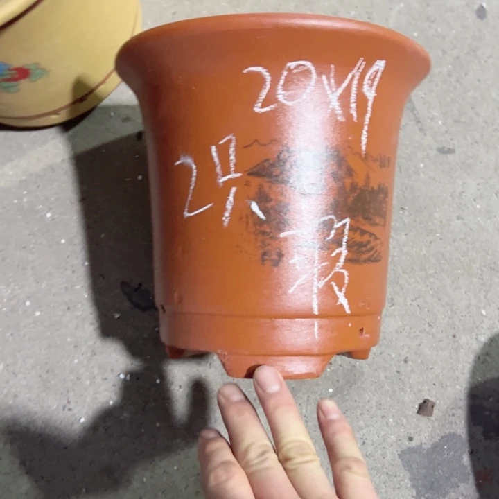 周深周深周深周深