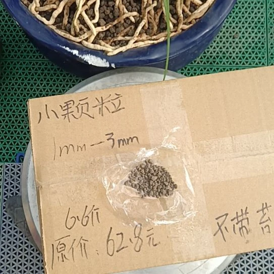 失***偶兰菌黑山土小颗粒6.6斤