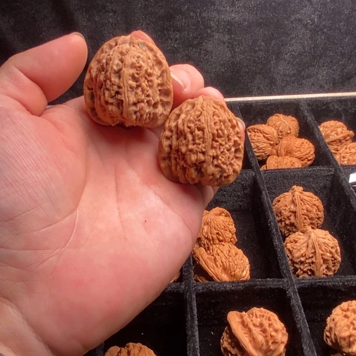 吊坠龙脊菩提全品南江40